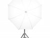 LANTERN5 frontal